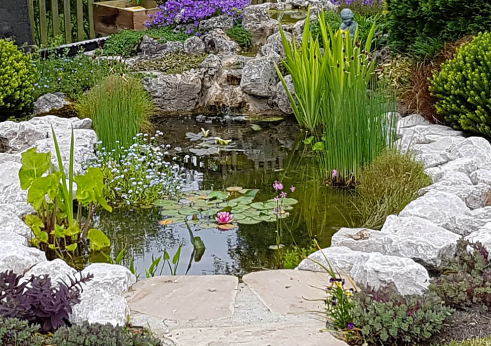 Essential Ponds Suffolk