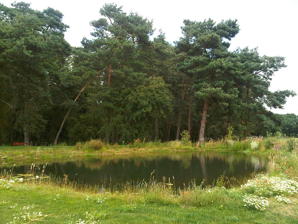 pond design
