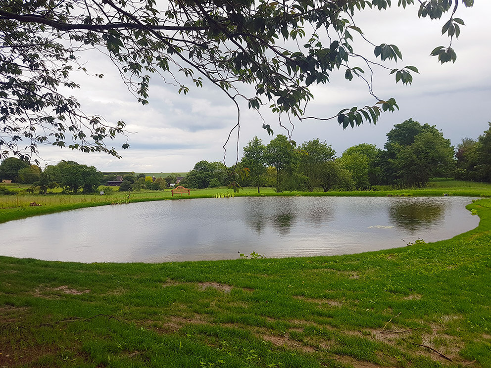 pond construction