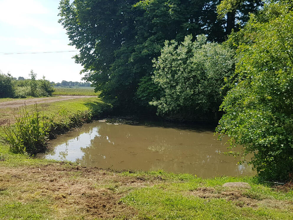 Essential Ponds Norfolk