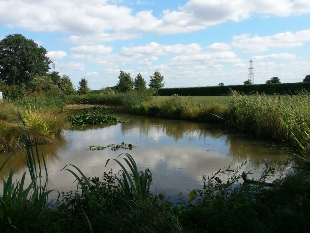 Siltex Suffolk