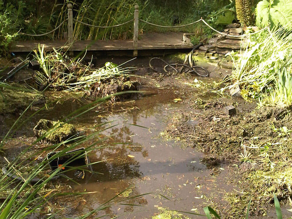 pond cleaning Suffolk