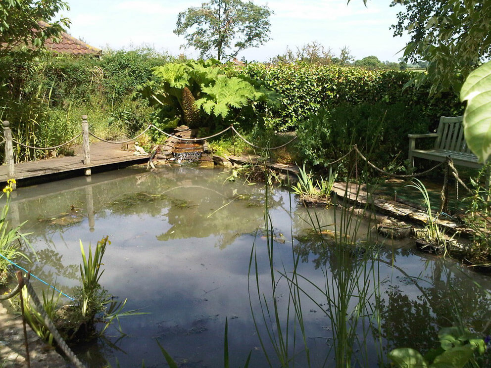 pond cleaning Norfolk