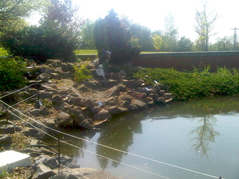 Essential Ponds Essex