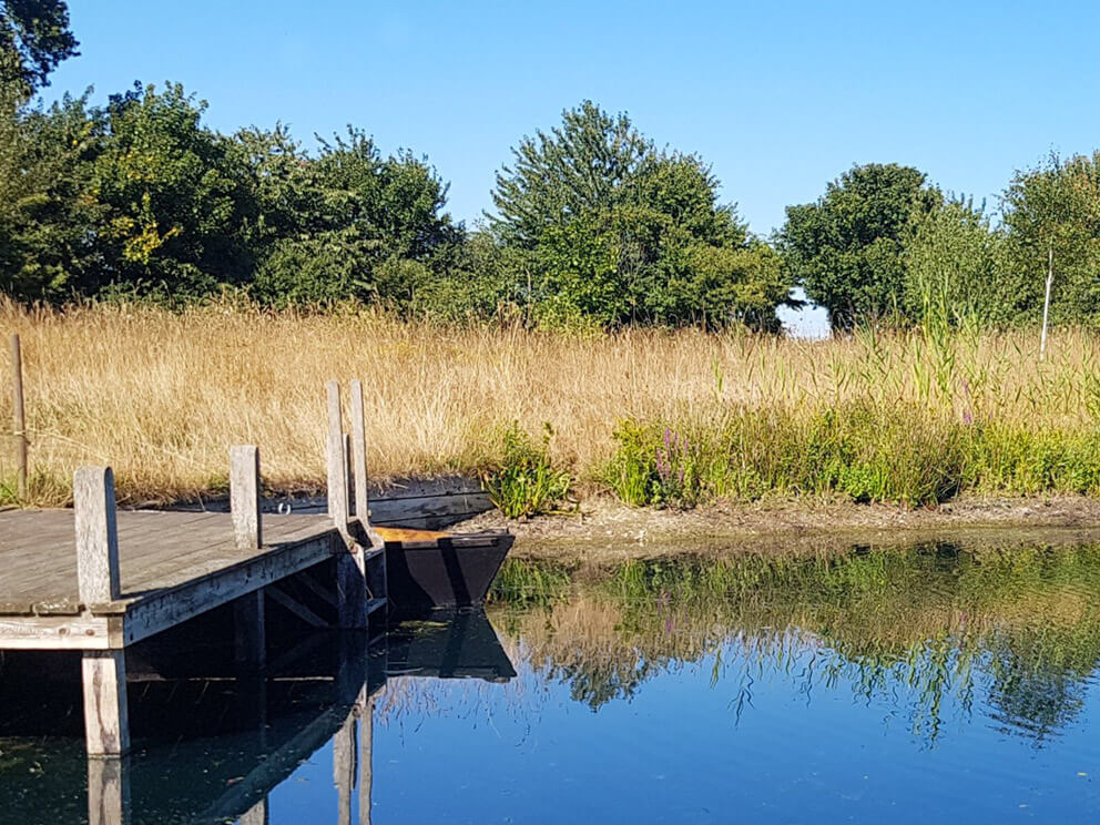 swimming pond