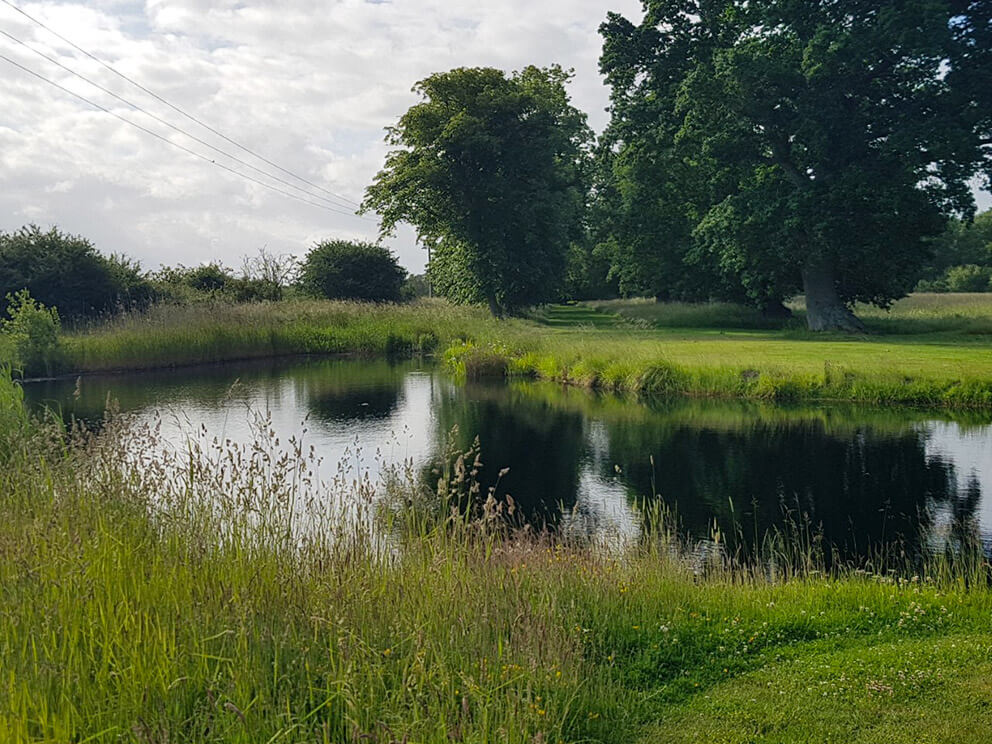 Essential Ponds Norfolk